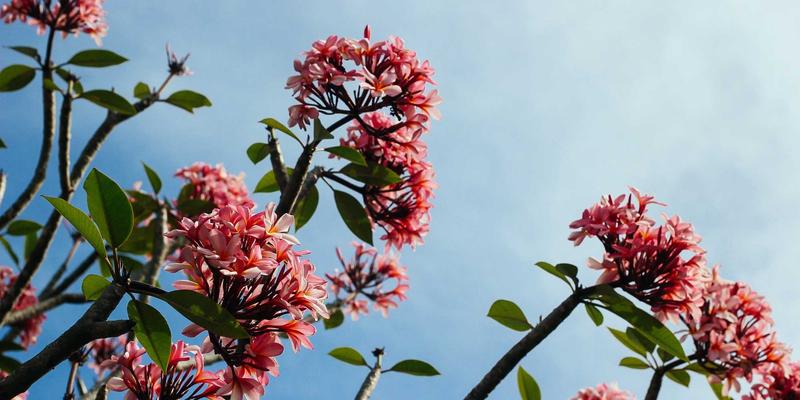 从宁波精宇看工业设备企业如何破局:自动化设备营销策略与渠道建设的深度解码