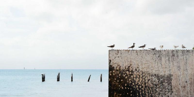 从精密加工到智慧工厂：宁波精宇如何借力自动化上下料与AGV打造无人化柔性制造新标杆