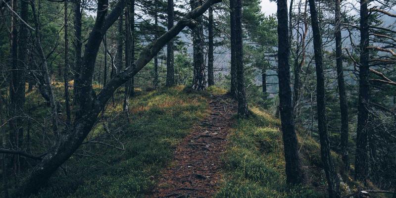 微米之巅：宁波精宇如何以精密加工技术重塑光学设备制造新标杆