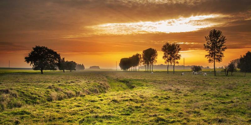 精密制造新高度:宁波精宇五轴联动加工中心如何攻克复杂曲面精度控制难题