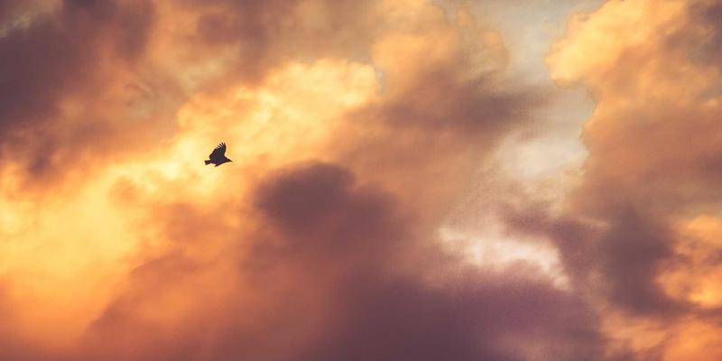 精度即生命：宁波精宇洁净室线性电机设备如何重塑生物医疗检测仪器的制造标准